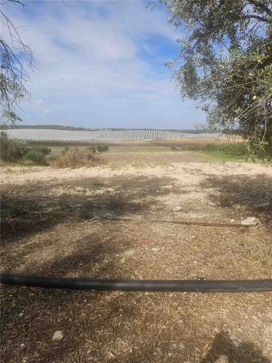 Vendita Terreno Noto  #26T n.4