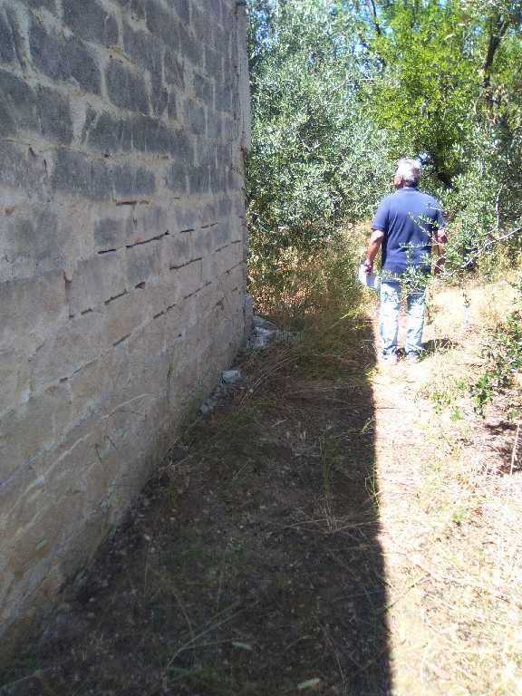 Vendita Terreno Valenzano CIMITERO #16 n.5