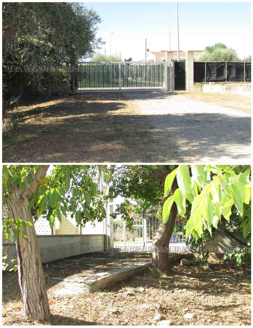 Vendita Villa/Casa singola Pisticci Marconia #marcon21 n.6