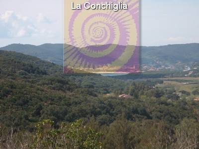 Vendita Commerciale Campo nell'Elba loc. Filetto #215 n.1