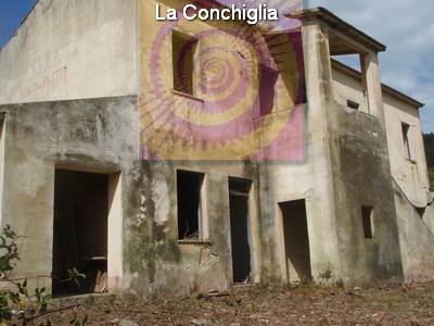 Vendita Commerciale Campo nell'Elba loc. Filetto #215 n.2