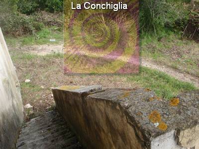 Vendita Commerciale Campo nell'Elba loc. Filetto #215 n.4