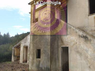 Vendita Commerciale Campo nell'Elba loc. Filetto #215 n.5