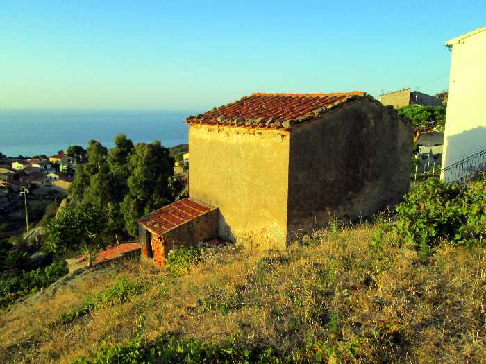 Vendita Rustico/Casale Marciana Loc. Colle d'Orano #816 n.3