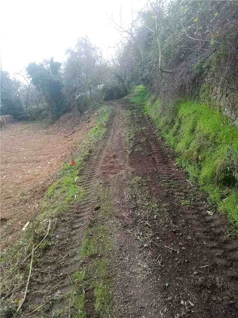 Vendita Rustico/Casale Rio LOC. VALLE DEI MULINI #622 n.3