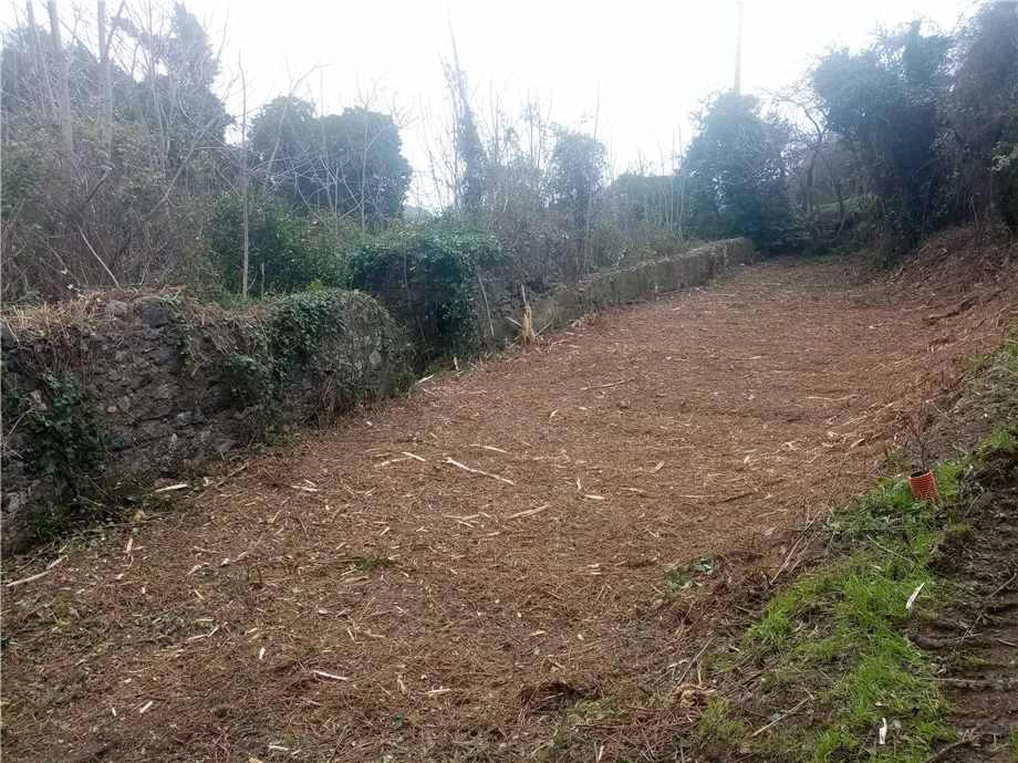 Vendita Rustico/Casale Rio LOC. VALLE DEI MULINI #622 n.4