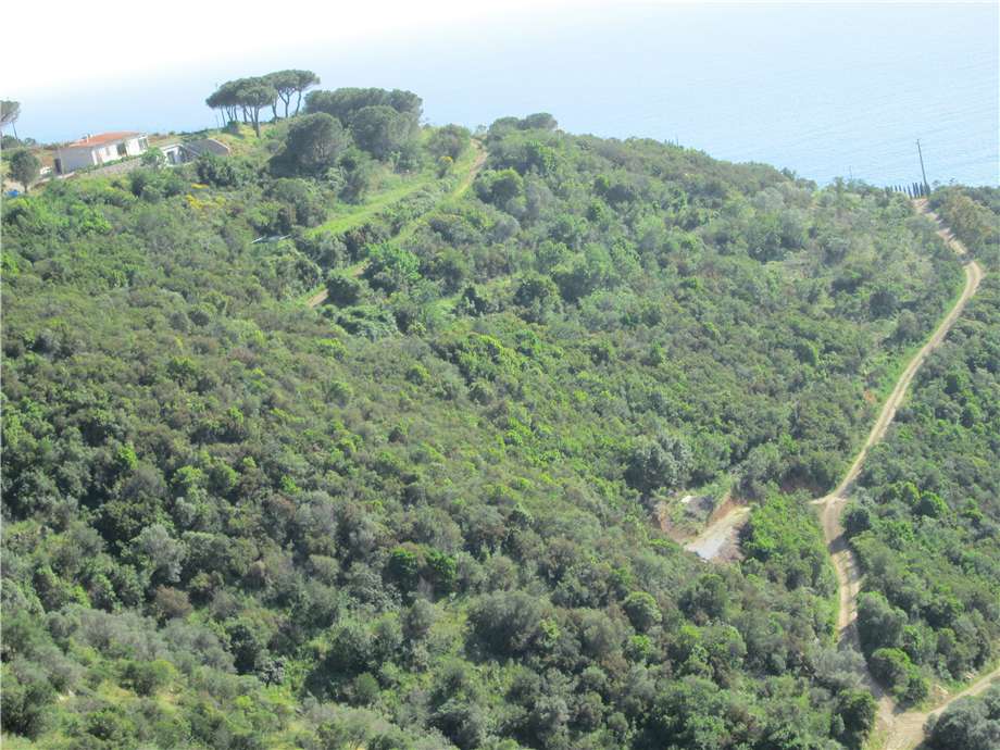 Vendita Terreno Capoliveri LOC. MORCONE #421 n.2