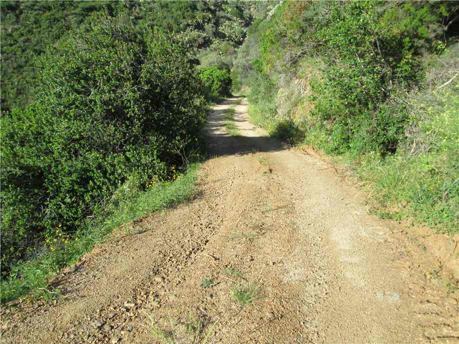 Vendita Terreno Capoliveri LOC. MORCONE #421 n.3