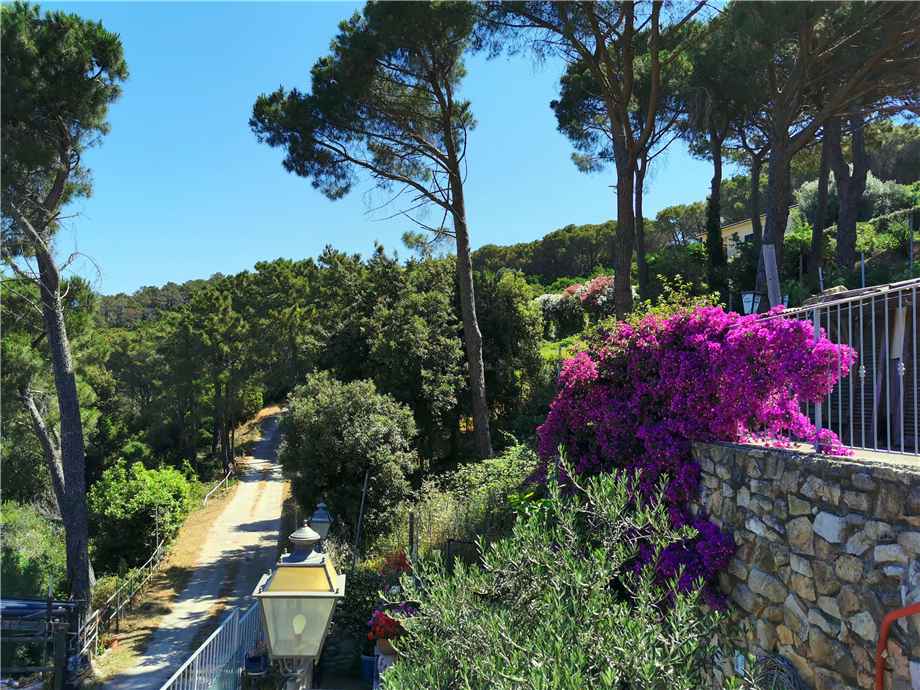 Venta Villa/Casa independiente Marciana Marina loc. I Pini #322 n.3