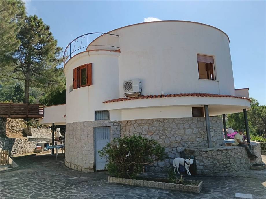 Vendita Villa/Casa singola Marciana LOC. COTONCELLO #818 n.4