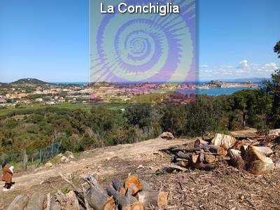 Vendita Terreno Portoferraio loc. Colle Reciso #120 n.1