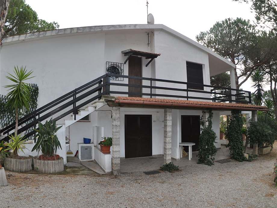 Villa/Casa singola Capoliveri #409