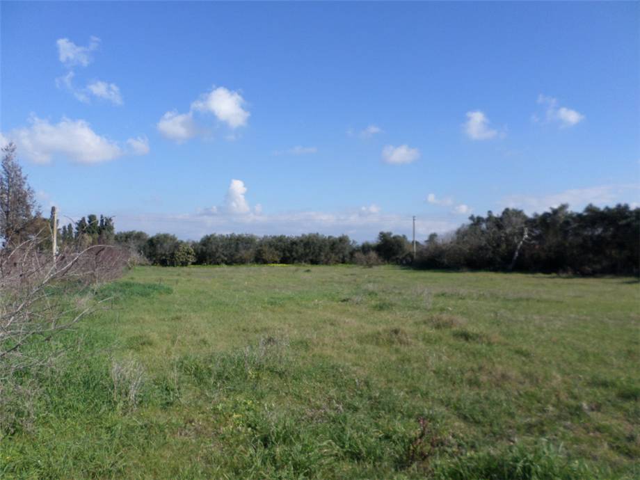 Venta Suelo Assemini  #2019TerreArtig n.2