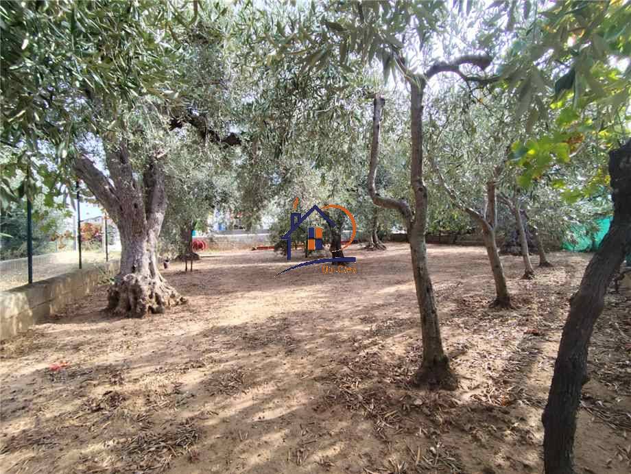 For sale Single-family Villa Corigliano-Rossano Rossano Scalo #263 n.10