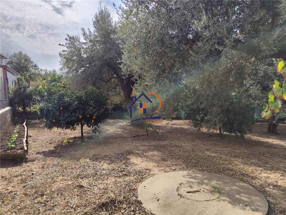 For sale Single-family Villa Corigliano-Rossano Rossano Scalo #263 n.11