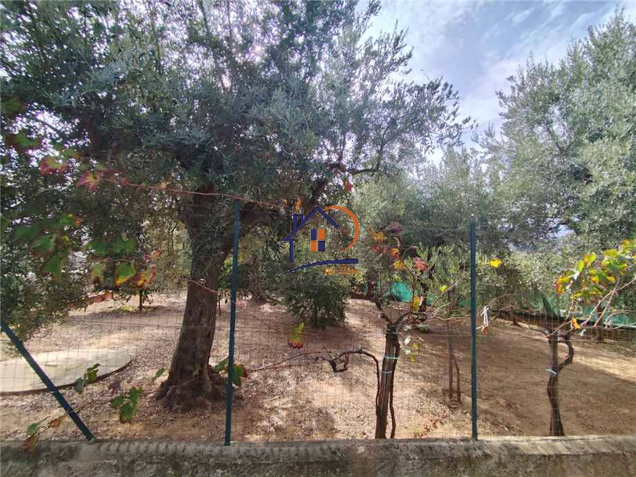 For sale Single-family Villa Corigliano-Rossano Rossano Scalo #263 n.12
