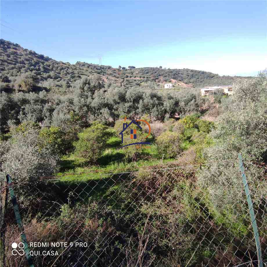 For sale Agricultural land Corigliano-Rossano Rossano Scalo #336 n.2