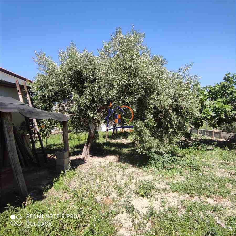 Vendita Casa indipendente Corigliano-Rossano ROSSANO MARE #368 n.6