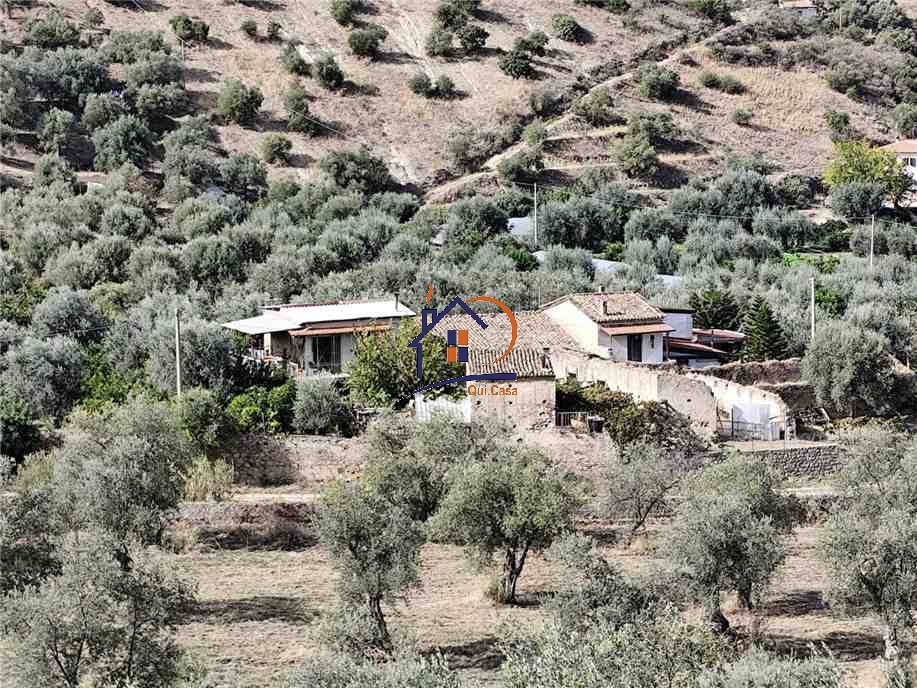 Venta Terreno agrícola Corigliano-Rossano Rossano Scalo #382 n.11