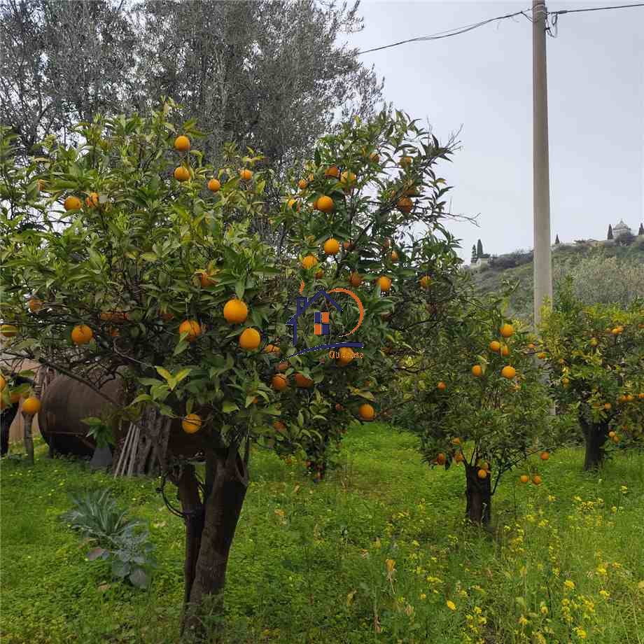 Venta Terreno agrícola Corigliano-Rossano Rossano Scalo #382 n.3