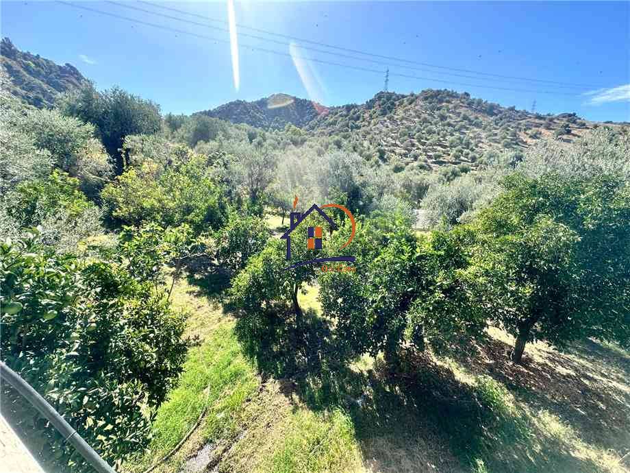 Venta Terreno agrícola Corigliano-Rossano Rossano Scalo #382 n.4