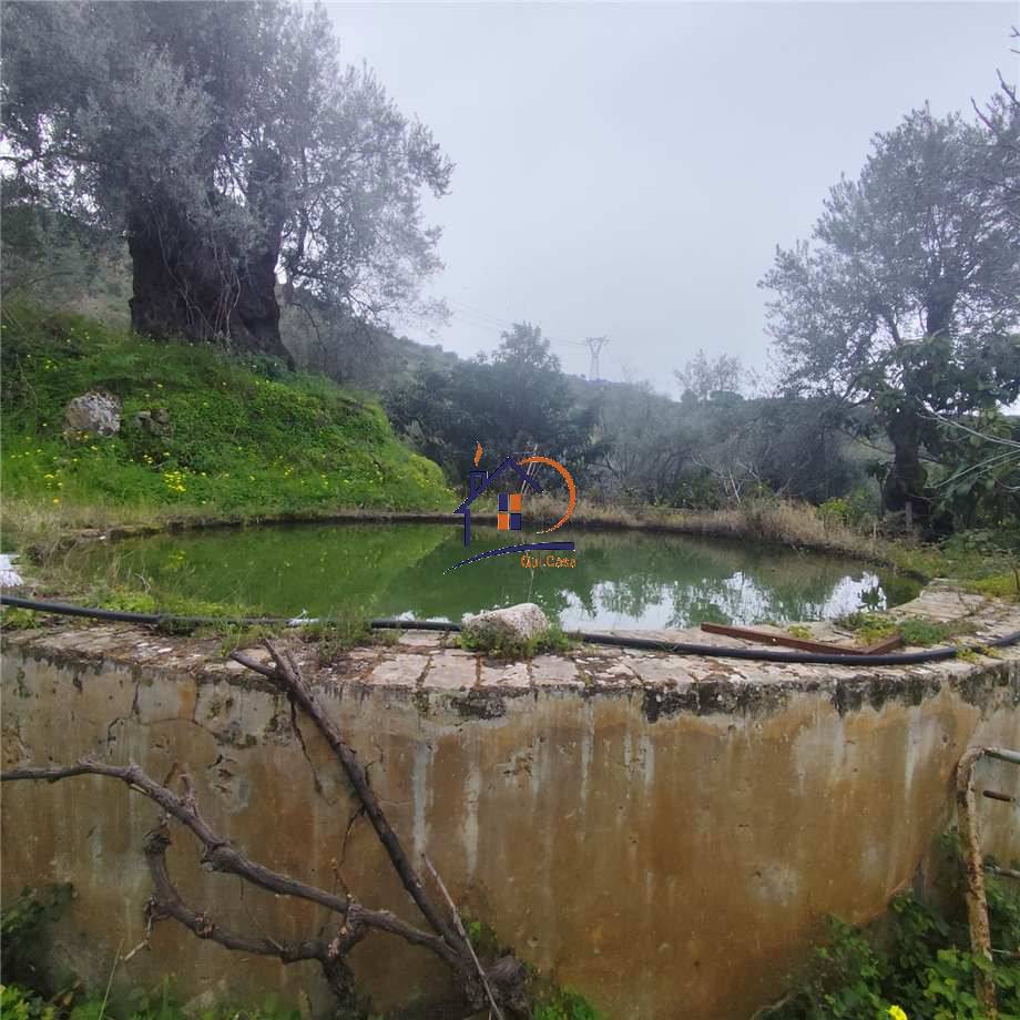 Venta Terreno agrícola Corigliano-Rossano Rossano Scalo #382 n.6