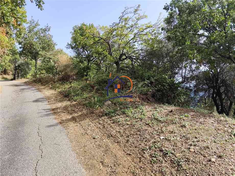 Terreno agrícola Corigliano-Rossano 383