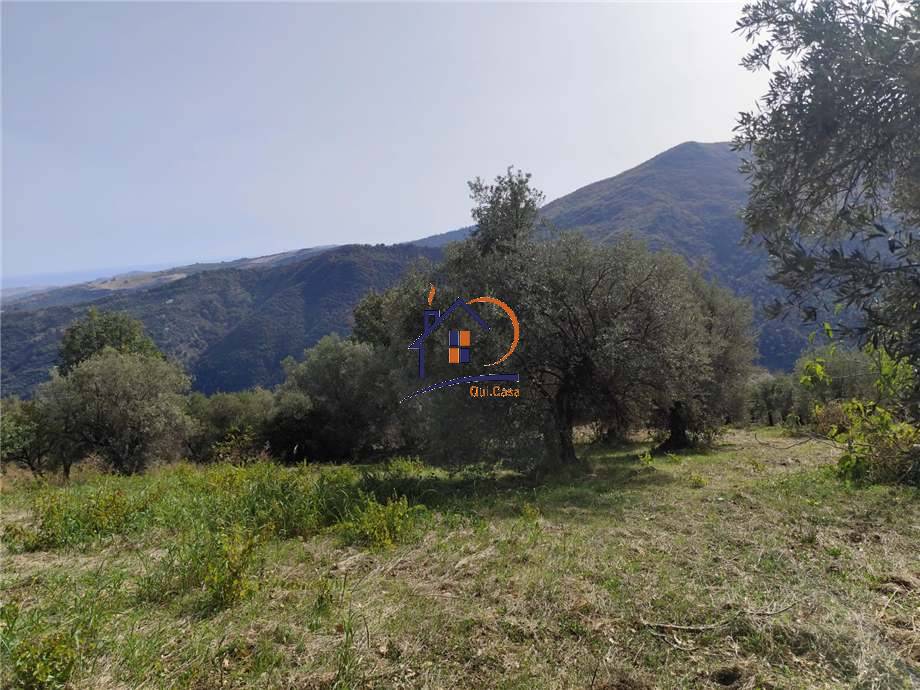 Venta Terreno agrícola Corigliano-Rossano Rossano Scalo #383 n.5