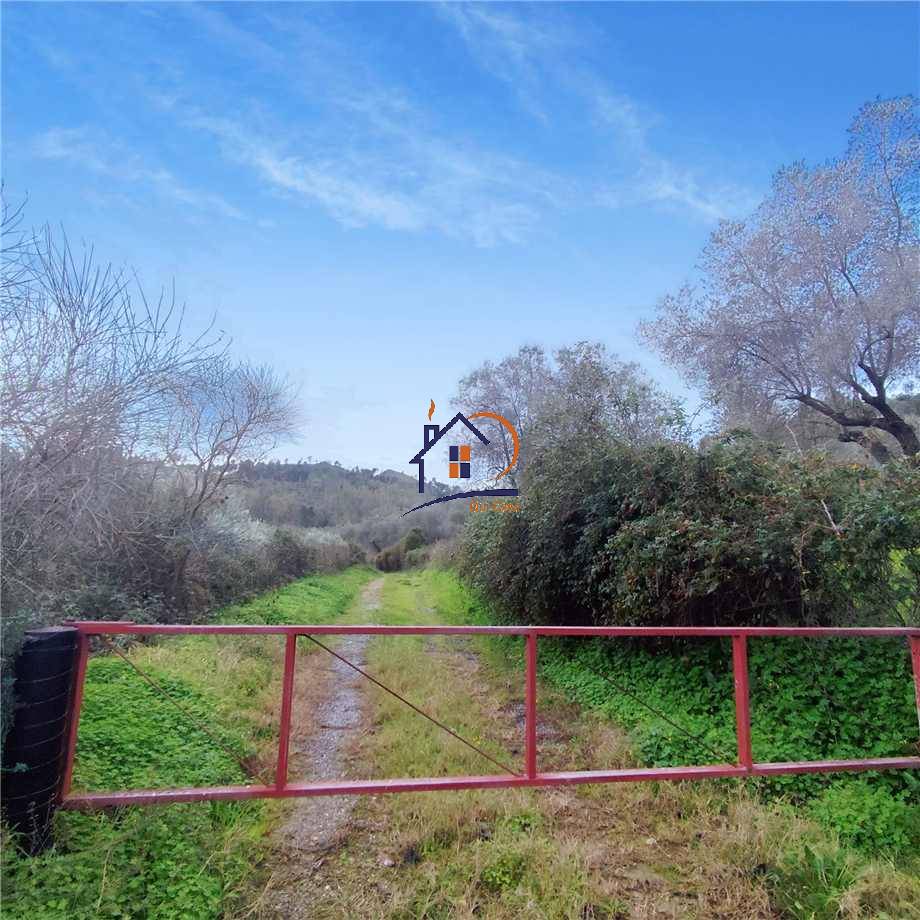 Terreno agricolo Corigliano-Rossano 394