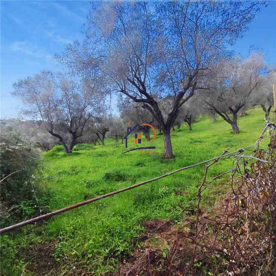 Vendita Terreno agricolo Corigliano-Rossano Rossano Scalo #394 n.3