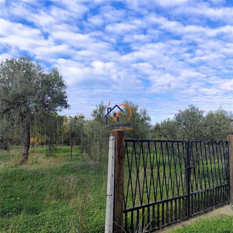 Vendita Terreno agricolo Corigliano-Rossano Rossano Scalo #396 n.1