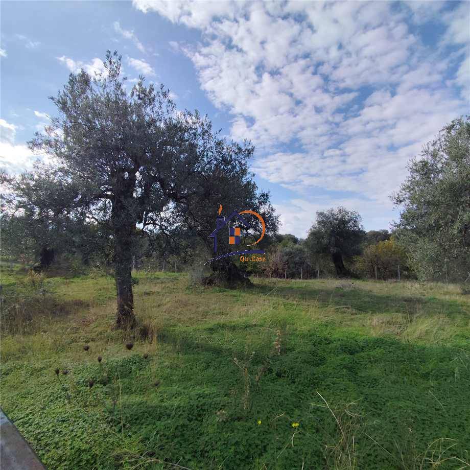 Vendita Terreno agricolo Corigliano-Rossano Rossano Scalo #396 n.2
