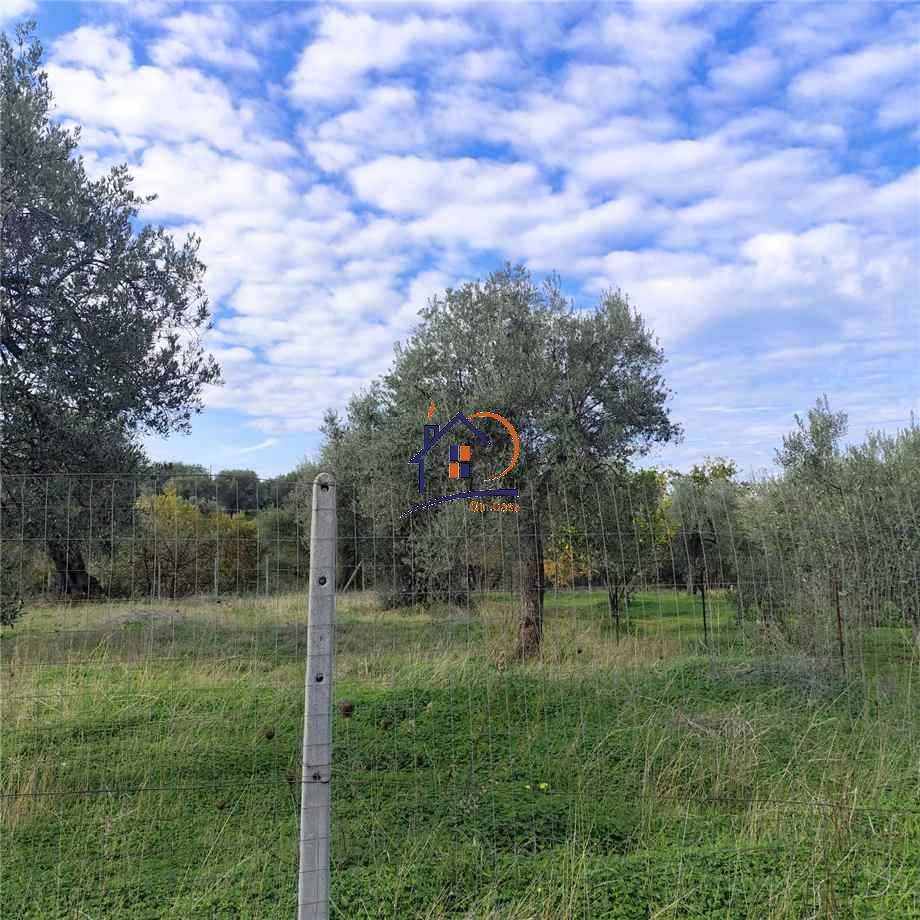 Vendita Terreno agricolo Corigliano-Rossano Rossano Scalo #396 n.5