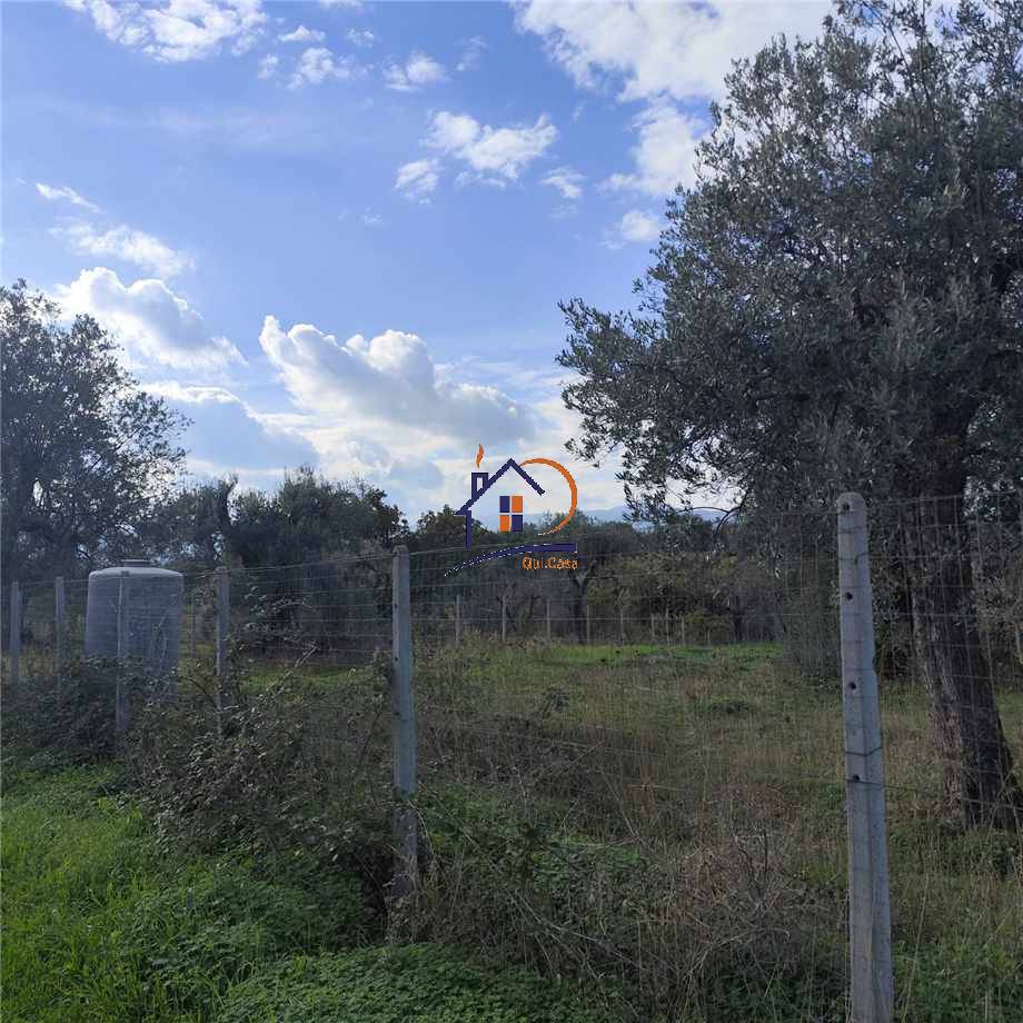 Vendita Terreno agricolo Corigliano-Rossano Rossano Scalo #396 n.5