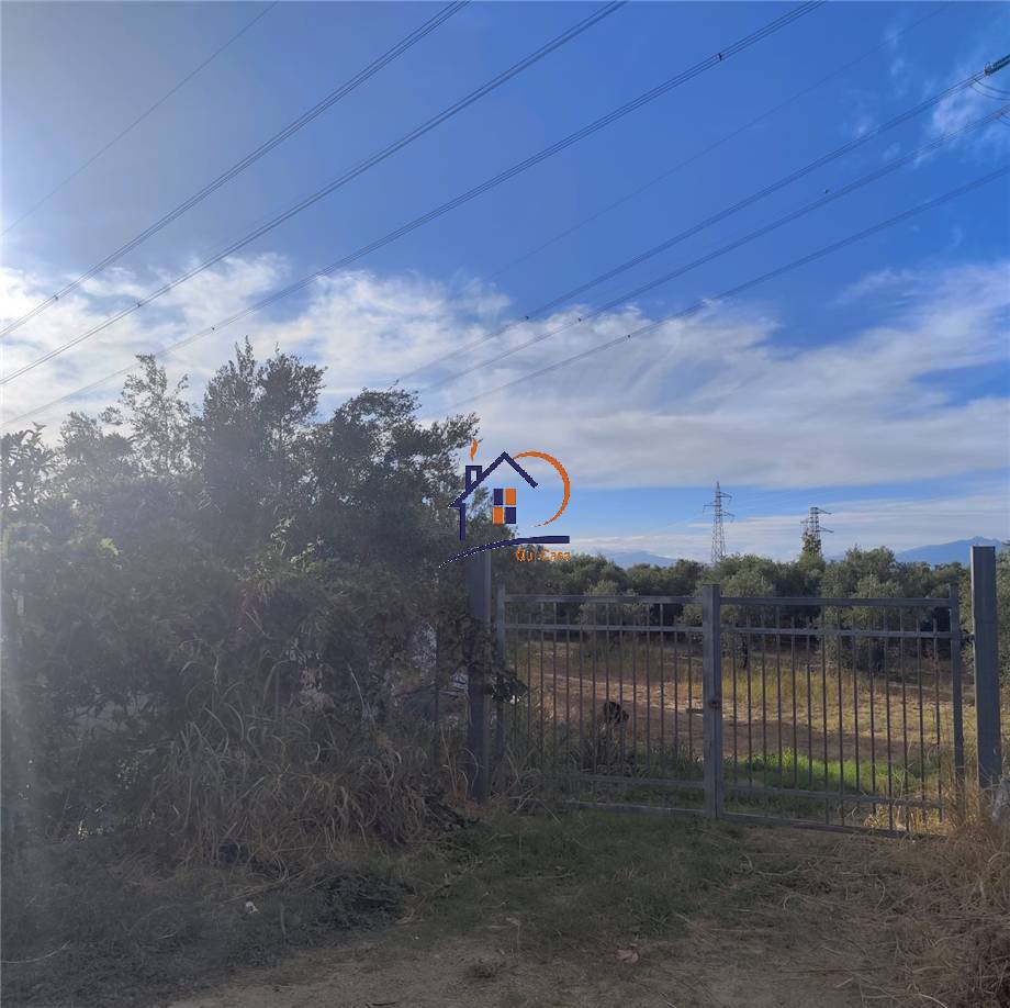 Terreno agricolo Corigliano-Rossano 410
