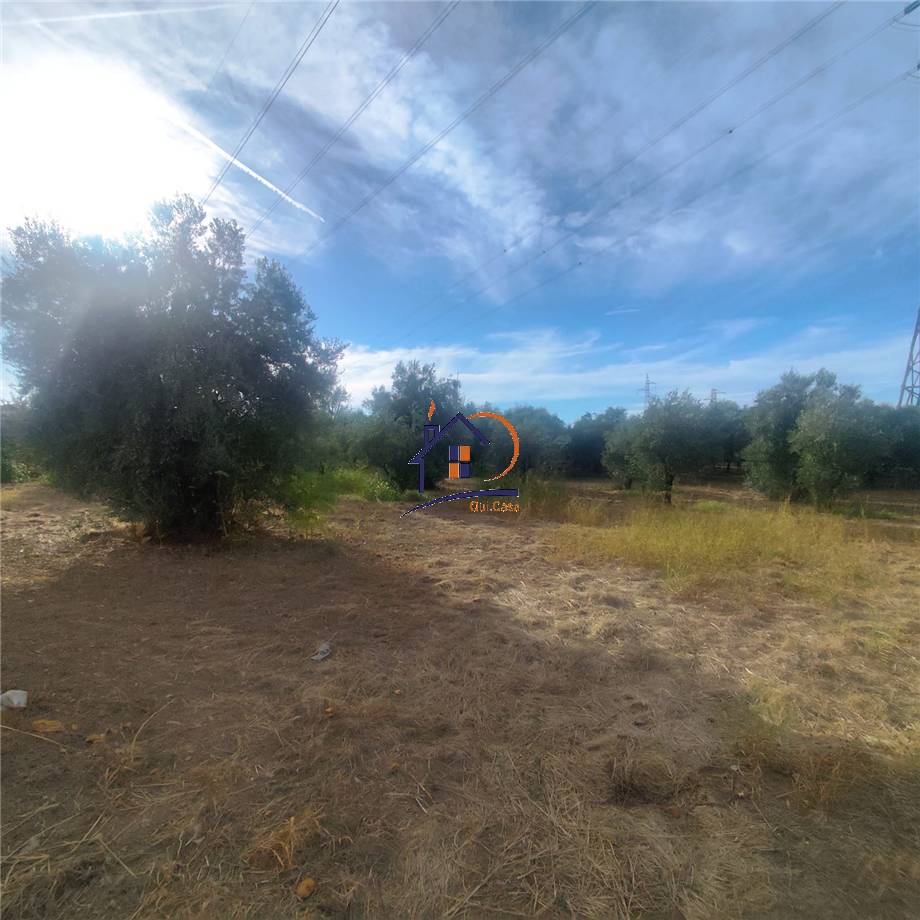 Vendita Terreno agricolo Corigliano-Rossano Rossano Scalo #410 n.2