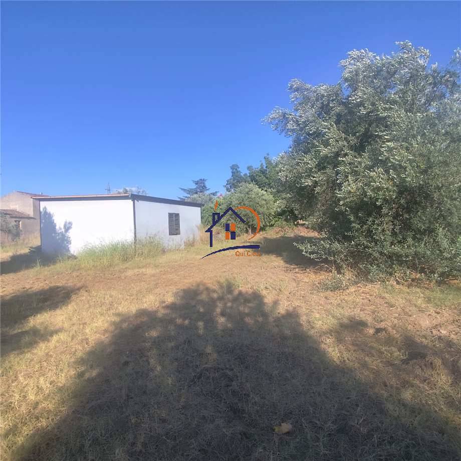 Vendita Terreno agricolo Corigliano-Rossano Rossano Scalo #410 n.6