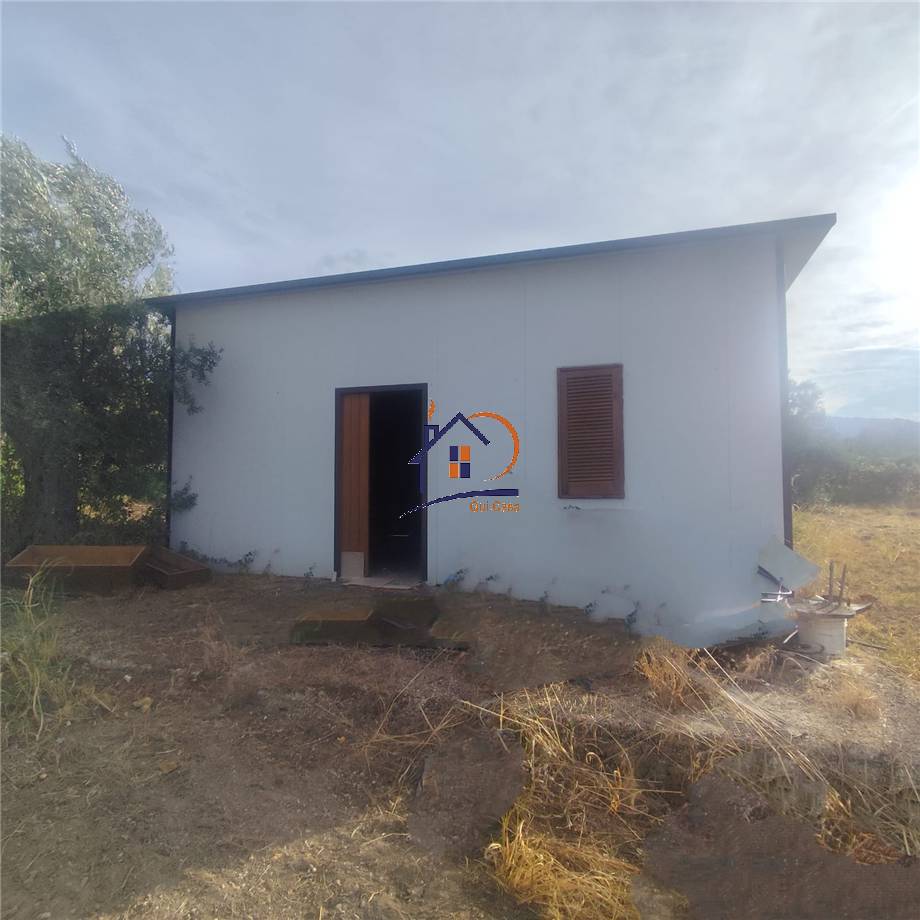 Vendita Terreno agricolo Corigliano-Rossano Rossano Scalo #410 n.7