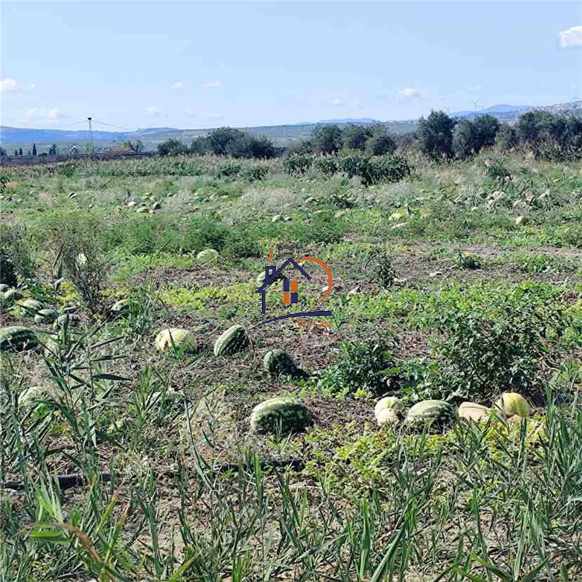 For sale Agricultural land Cassano all'Ionio  #411 n.5