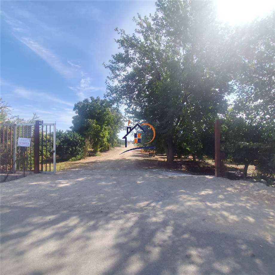 For sale Agricultural land Cassano all'Ionio  #411 n.7