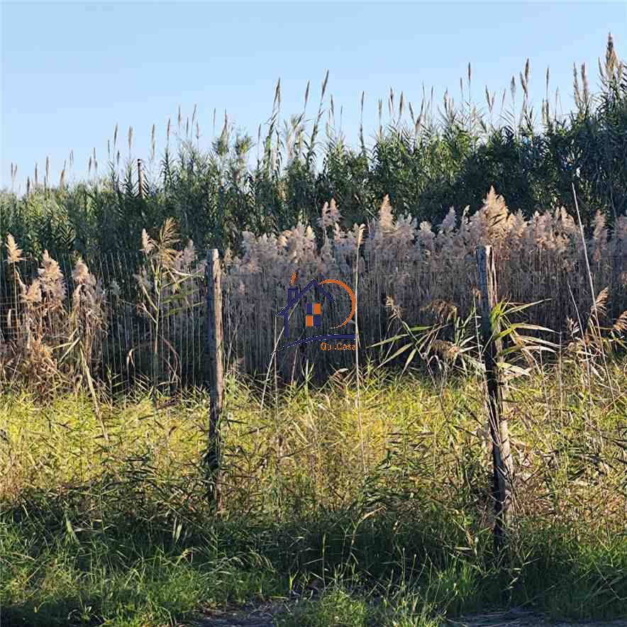 Venta Villa unifamiliar Corigliano-Rossano ROSSANO MARE #424 n.6