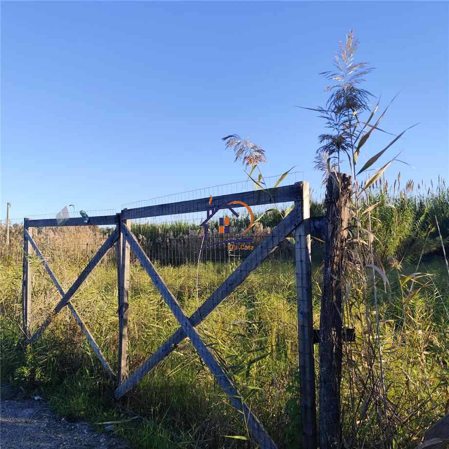 Venta Villa unifamiliar Corigliano-Rossano ROSSANO MARE #424 n.8