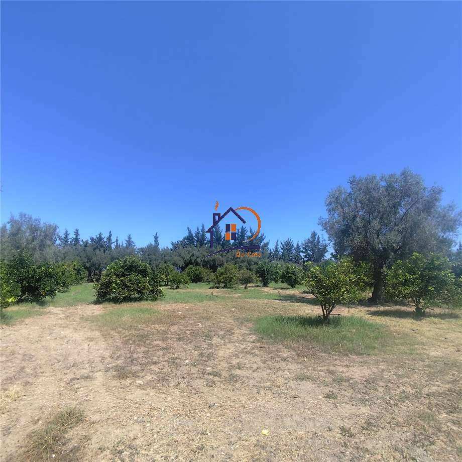 Affitto Agriturismo Corigliano-Rossano ROSSANO MARE #425 n.9