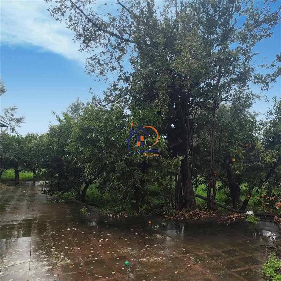 Venta Terreno agrícola Corigliano-Rossano Rossano Scalo #429 n.3