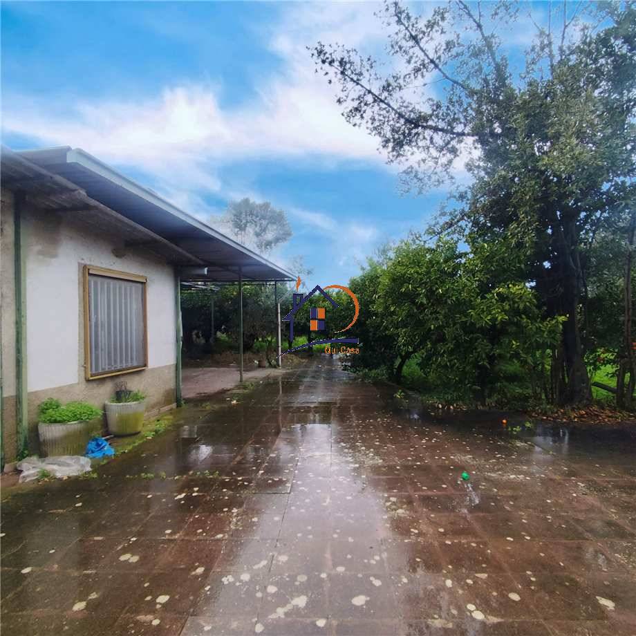 Venta Terreno agrícola Corigliano-Rossano Rossano Scalo #429 n.5