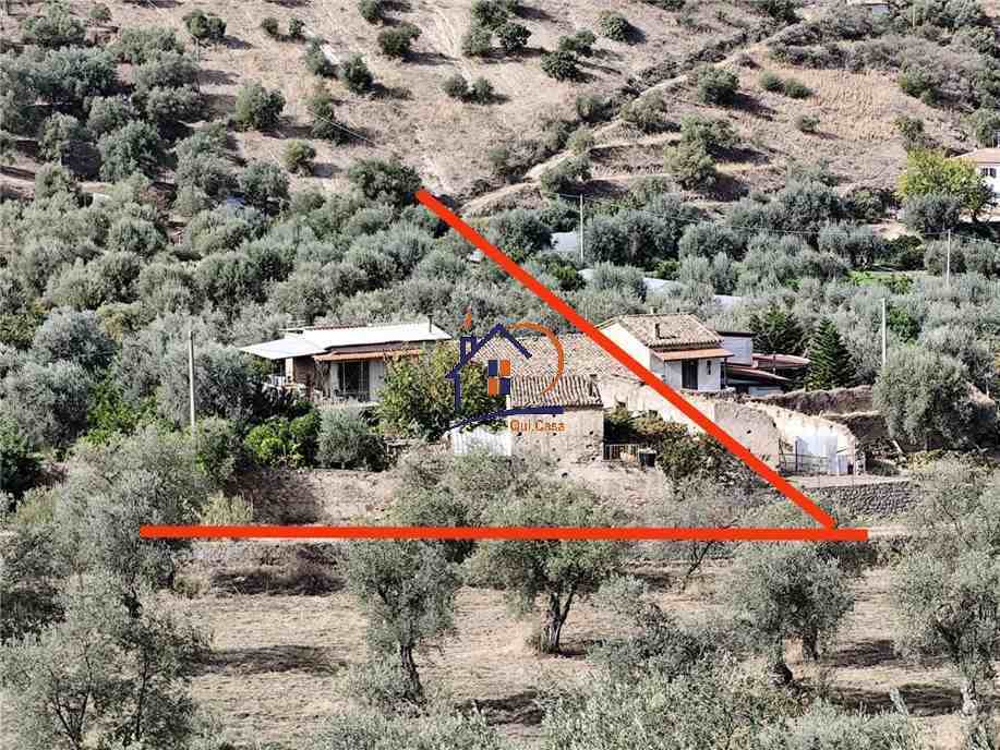 Vendita Terreno agricolo Corigliano-Rossano Rossano Scalo #447 n.10