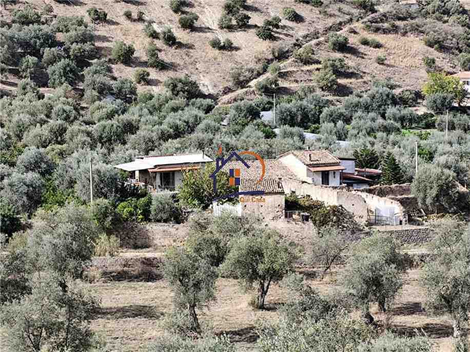 Vendita Terreno agricolo Corigliano-Rossano Rossano Scalo #447 n.11