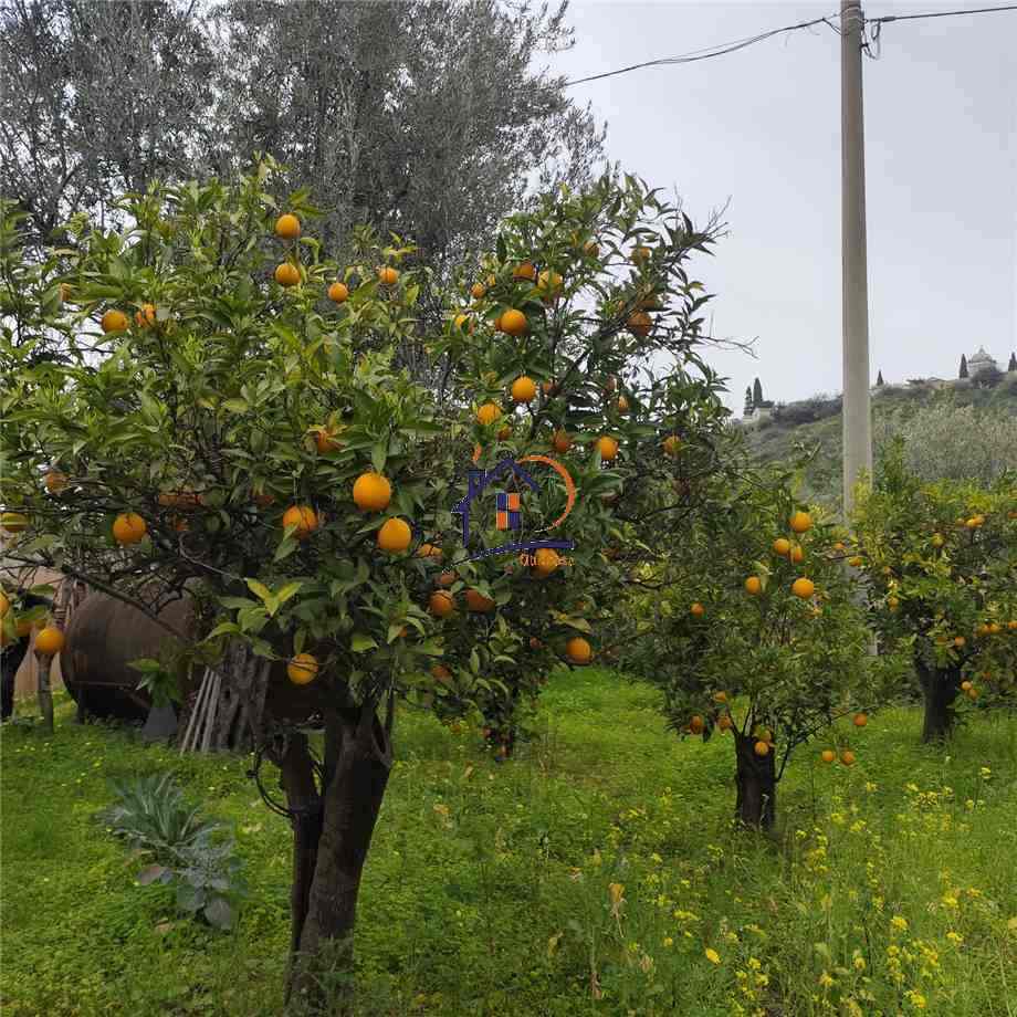 Vendita Terreno agricolo Corigliano-Rossano Rossano Scalo #447 n.3
