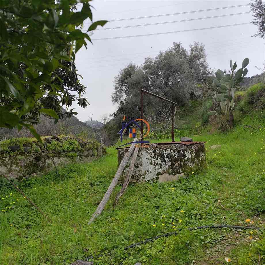 Vendita Terreno agricolo Corigliano-Rossano Rossano Scalo #447 n.7