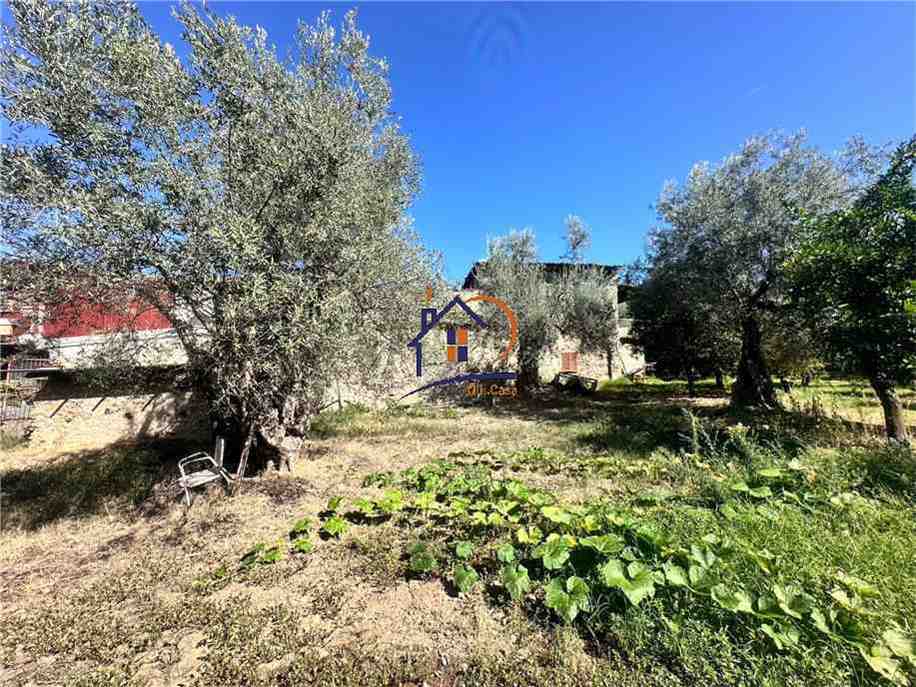 Vendita Terreno agricolo Corigliano-Rossano Rossano Scalo #447 n.9